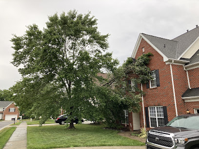 Advance Tree Service LLC