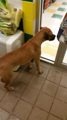 Pet Supply Store «Pet Supplies Plus», reviews and photos, 605 Grand Central Ave, Vienna, WV 26105, USA