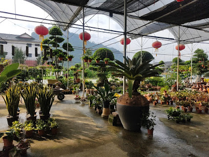 Kin Heng Plant Nursery
