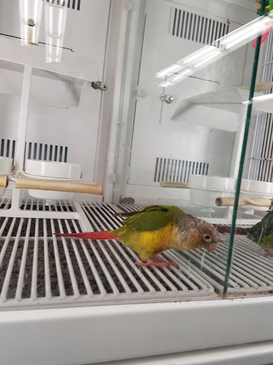 Pet Supply Store «Petco Animal Supplies», reviews and photos, 247 N Washington Hwy, Ashland, VA 23005, USA