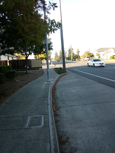 Safeway image