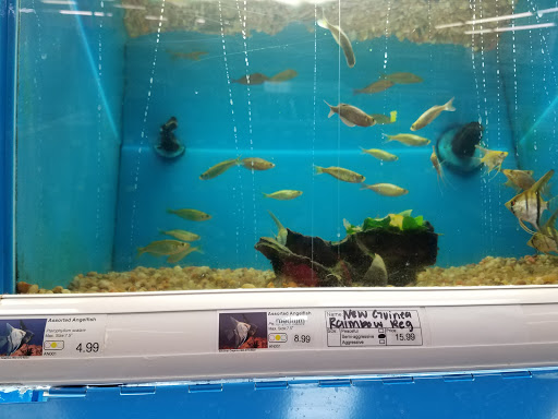 Pet Supply Store «Pet Supermarket», reviews and photos, 608 Montgomery Hwy, Vestavia Hills, AL 35216, USA