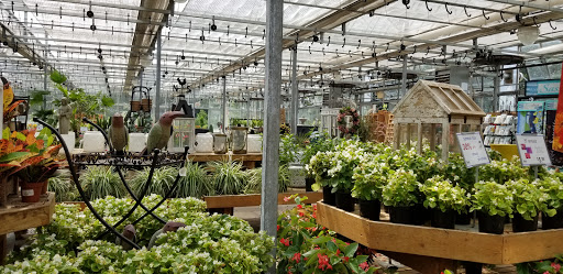 Garden Center «Blooms at Belle Mead», reviews and photos, 1980 US-206, Belle Mead, NJ 08502, USA