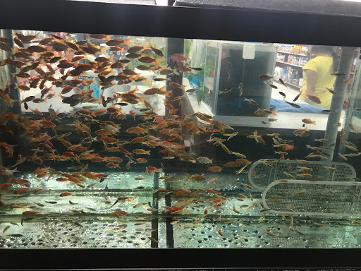 Pet Supply Store «Petco Animal Supplies», reviews and photos, 8700 Preston Rd #105, Plano, TX 75024, USA