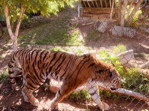 Zoo «Hogle Zoo», reviews and photos, 2600 Sunnyside Ave S, Salt Lake City, UT 84108, USA