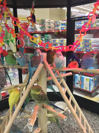 Pet Supply Store «Petco Animal Supplies», reviews and photos, 13053 Lee Jackson Memorial Hwy b, Fairfax, VA 22033, USA