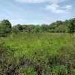 Arlington's Great Meadows