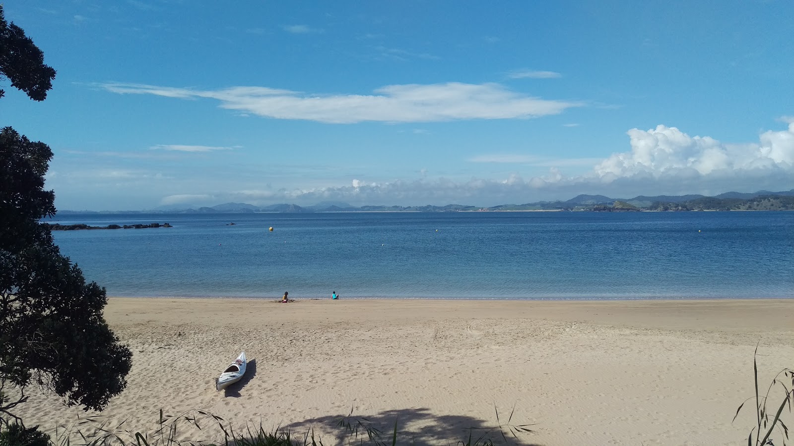 Fotografija Wellingtons Bay Beach priljubljeno mesto med poznavalci sprostitve