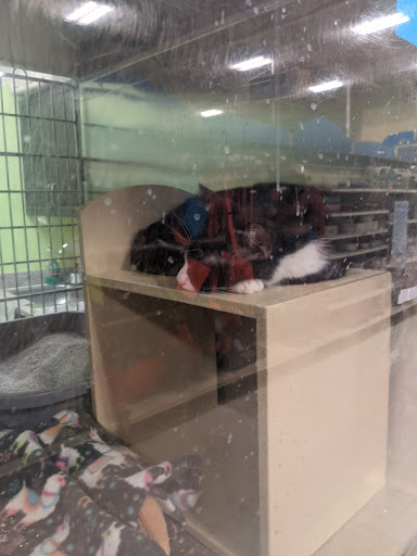 Pet Supply Store «PetSmart», reviews and photos, 2840 W Chandler Blvd, Chandler, AZ 85224, USA