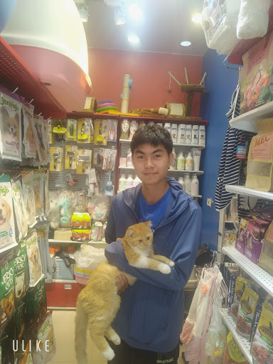 Animal stores Hanoi