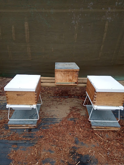 Casa del apicultor