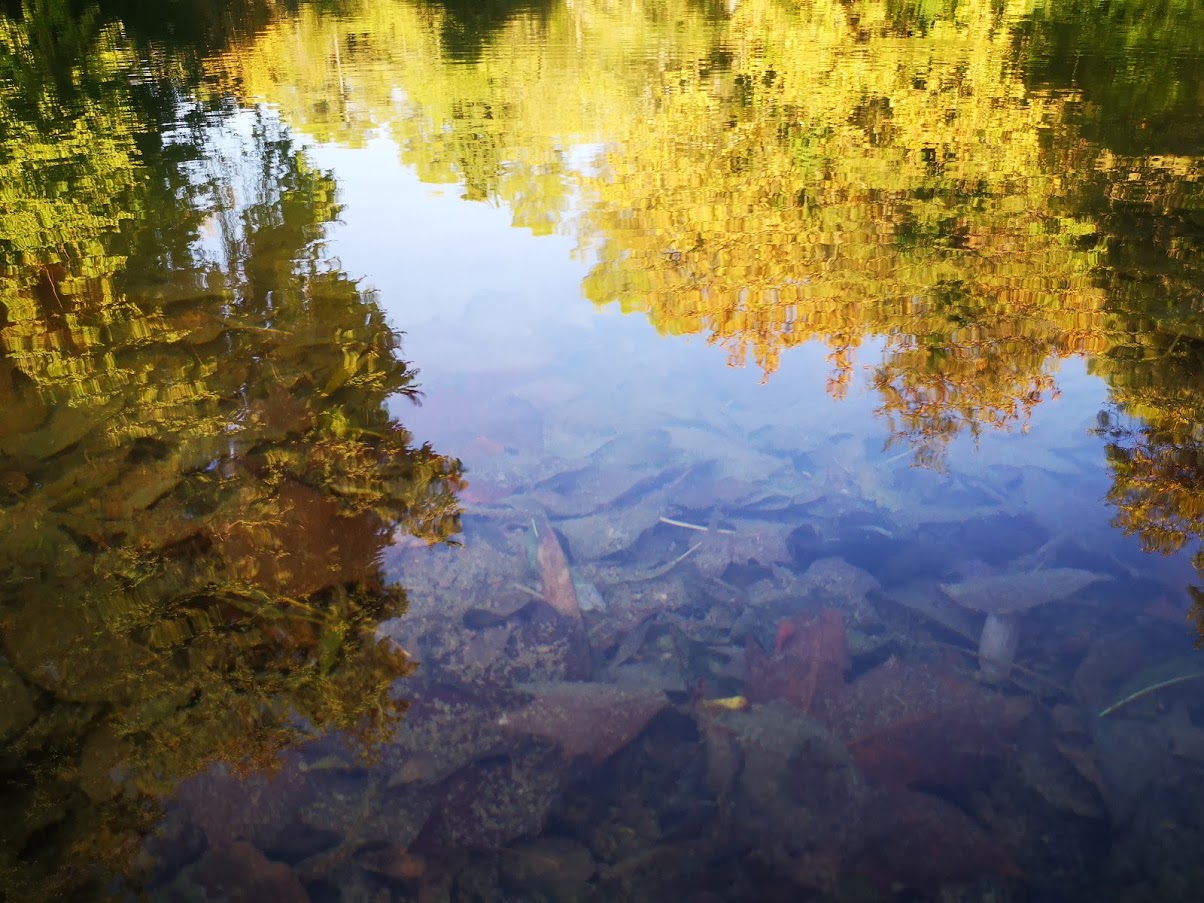 Photo n° 2 de l'avis de Dimi.h fait le 12/07/2019 à 09:27