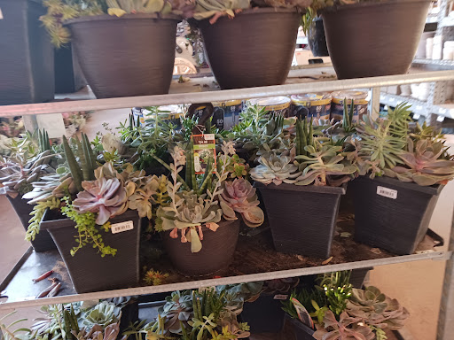 Home Improvement Store «The Home Depot», reviews and photos, 660 Twelve Mile Rd, Madison Heights, MI 48071, USA