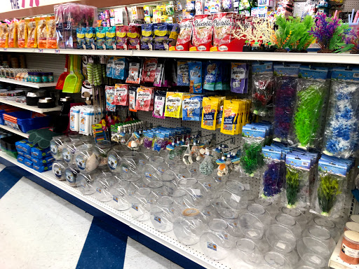 Grocery Store «Safeway», reviews and photos, 3185 Apache Trail, Apache Junction, AZ 85220, USA