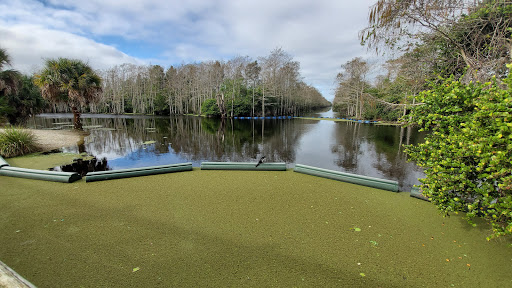 Nature Preserve «Grassy Waters Preserve», reviews and photos, 8264 Northlake Blvd, West Palm Beach, FL 33412, USA