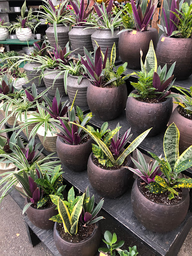 Garden Center «Gro-Rite Garden Center & Florist», reviews and photos, 30 Hillview Rd, Lincoln Park, NJ 07035, USA