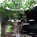 Photo n°2 de l'avis de Joseph.l fait le 26/01/2022 à 14:32 sur le  DoubleTree by Hilton Lisbon - Fontana Park à Lisbon