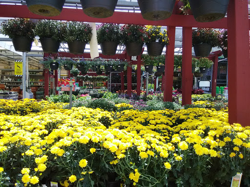 Garden Center at The Home Depot