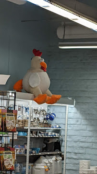 Centinela Feed - Photo 3 - Car repair in Encino, CA, Simi Valley