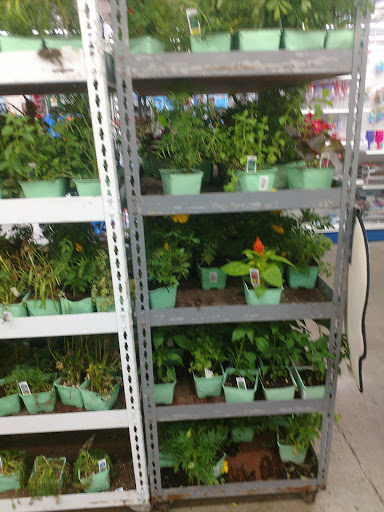 Discount Store «99 Cents Only Stores», reviews and photos, 950 E Avenida De Los Arboles, Thousand Oaks, CA 91360, USA