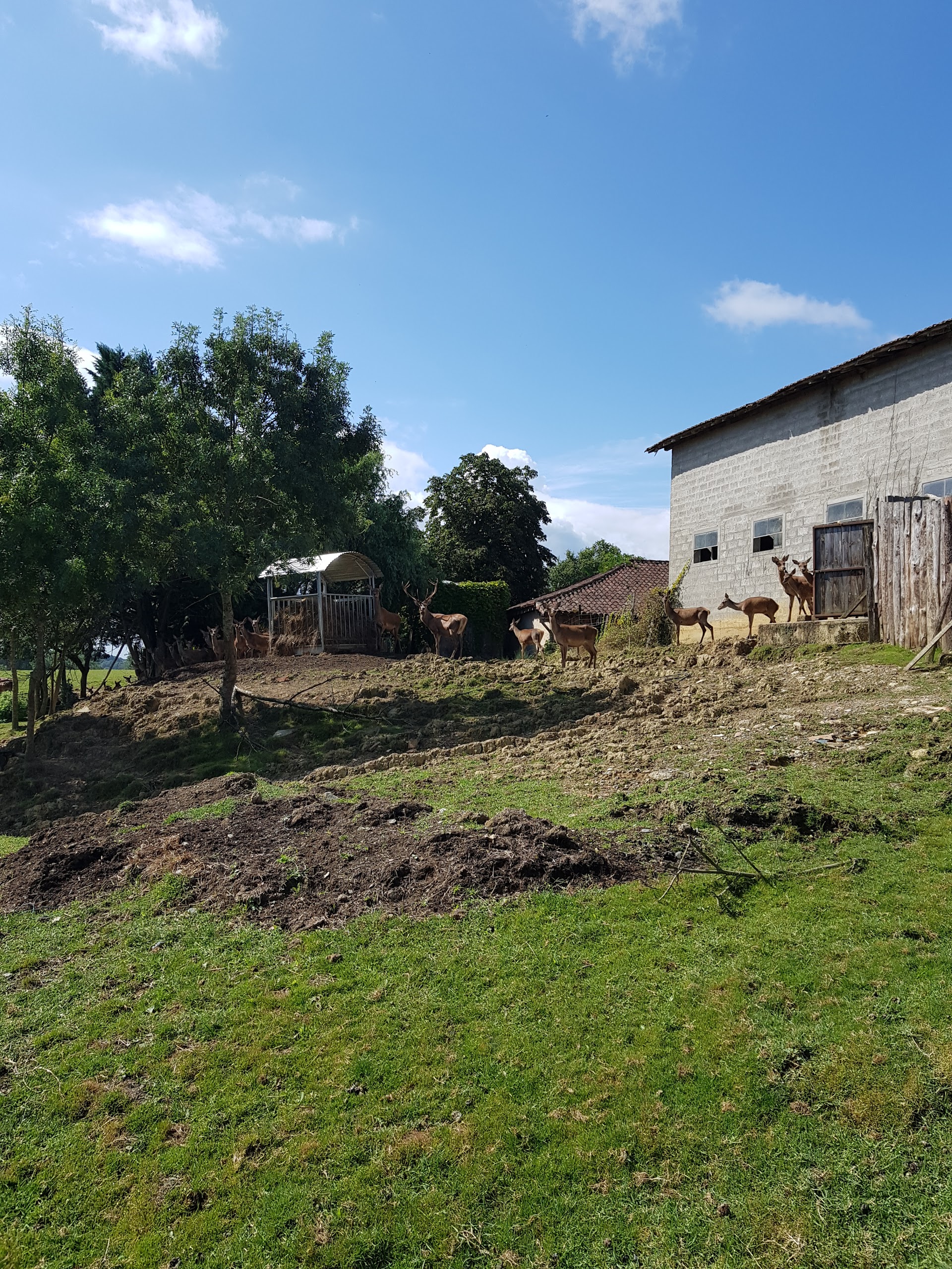 Photo n° 4 de l'avis de Michael.w fait le 13/08/2017 à 11:58