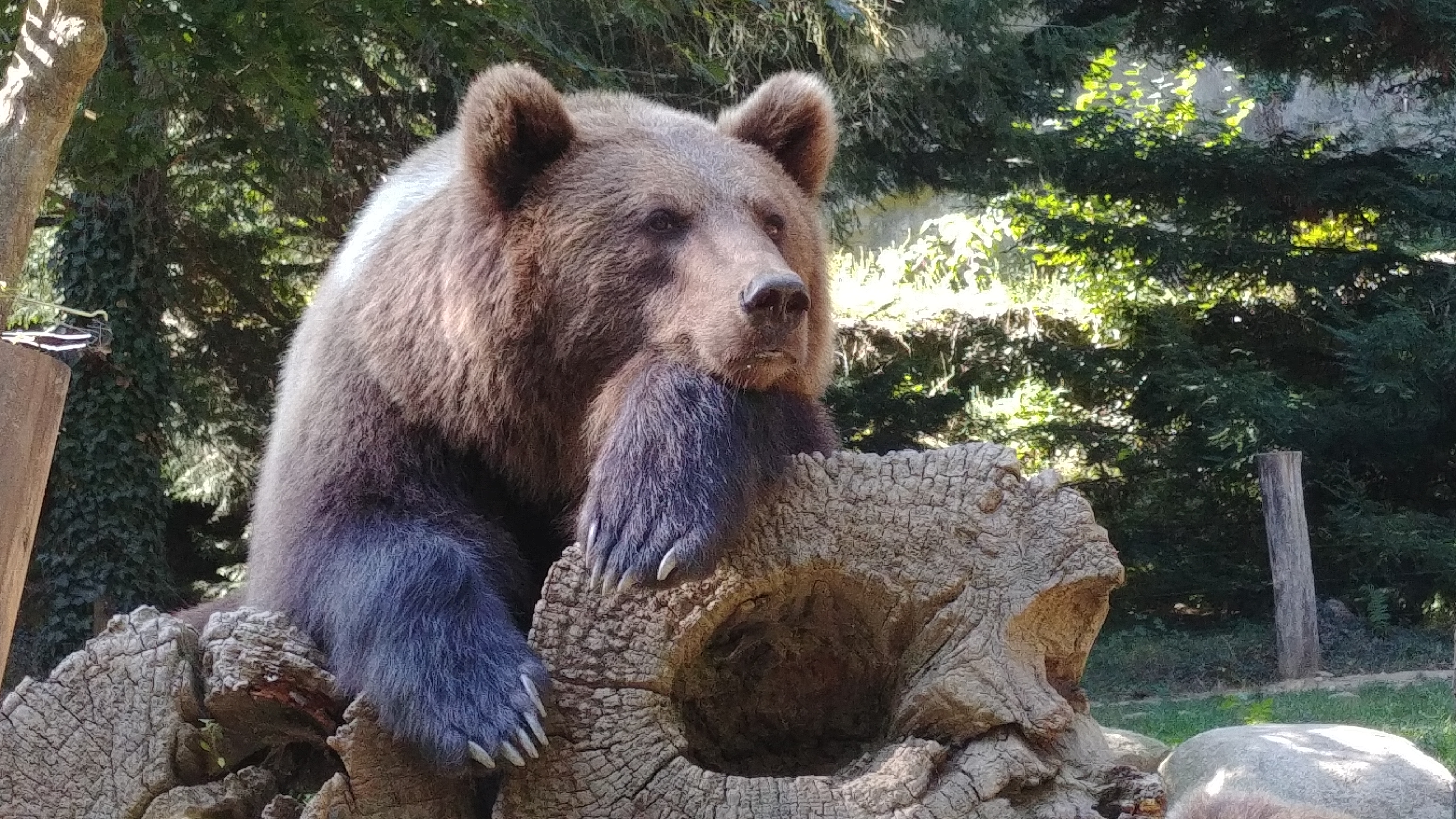 Photo n° 2 de l'avis de Dada.e fait le 30/09/2018 à 20:26