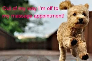 South Paw Massage & Wellness - Home of the Vero Beach Canine Country Club image