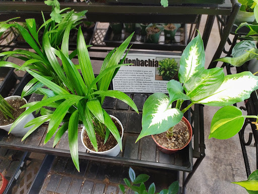 Gift Shop «Blue Hills Nursery & Gift Shop», reviews and photos, 16440 Whittier Blvd, Whittier, CA 90603, USA