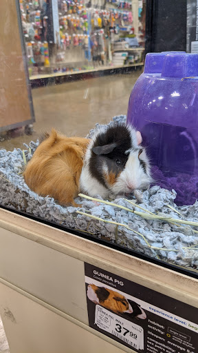 Pet Supply Store «PetSmart», reviews and photos, 1140 W Elliot Rd, Tempe, AZ 85284, USA