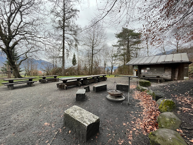 Rezensionen über Finnenbahn, Feuerstelle und Spielplatz Egeten in Buchs - Museum