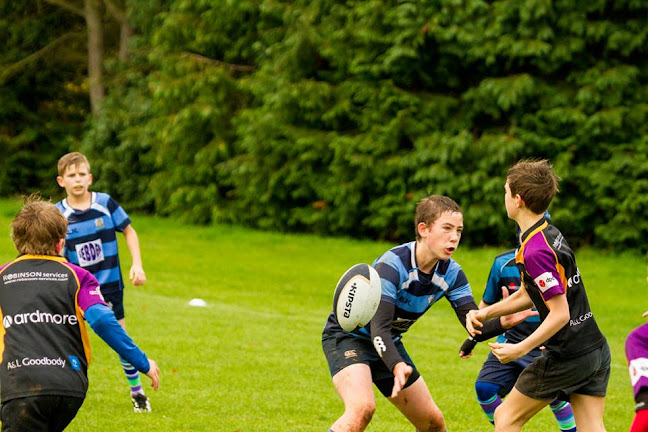 Seahorses Mini Rugby Belfast - Sports Complex