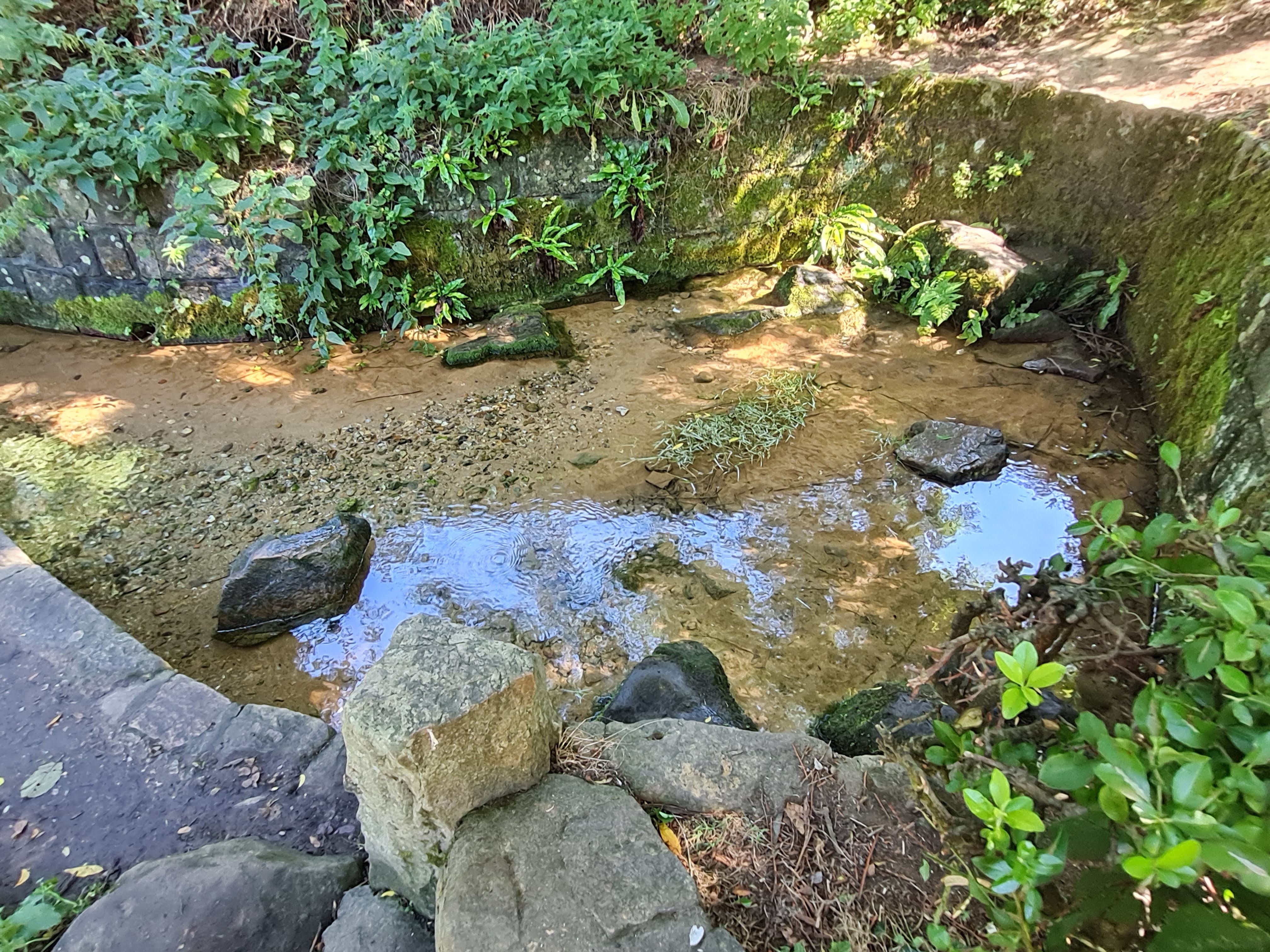 Photo n° 1 de l'avis de Françoise. fait le 13/09/2022 à 17:56