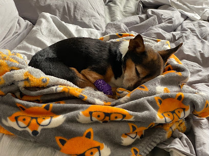 Jonathan Wood Veterinary Surgeons Ltd, Barnstaple Cross en Crediton