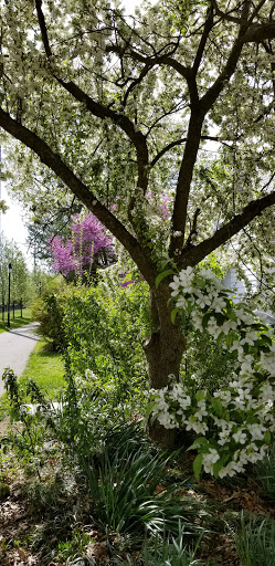 Park «DeHart Park», reviews and photos, 120 Burnett Ave, Maplewood, NJ 07040, USA