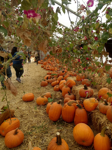 Produce Market «Kuwahara Farms», reviews and photos, 736 12300 S, Draper, UT 84020, USA