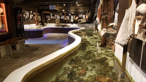 Stiftelsen Risør Akvarium