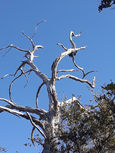Park «George C. McGough Nature Park - The Narrows», reviews and photos, 11901 146th St N, Largo, FL 33774, USA