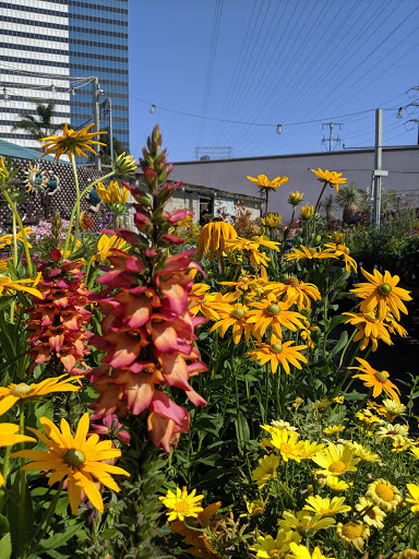 Garden Center «International Garden and Floral Design Center», reviews and photos, 155 N Sepulveda Blvd, El Segundo, CA 90245, USA