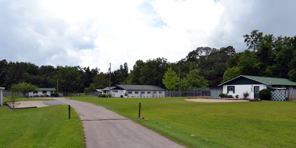 Robinhood Kennels and Cattery
