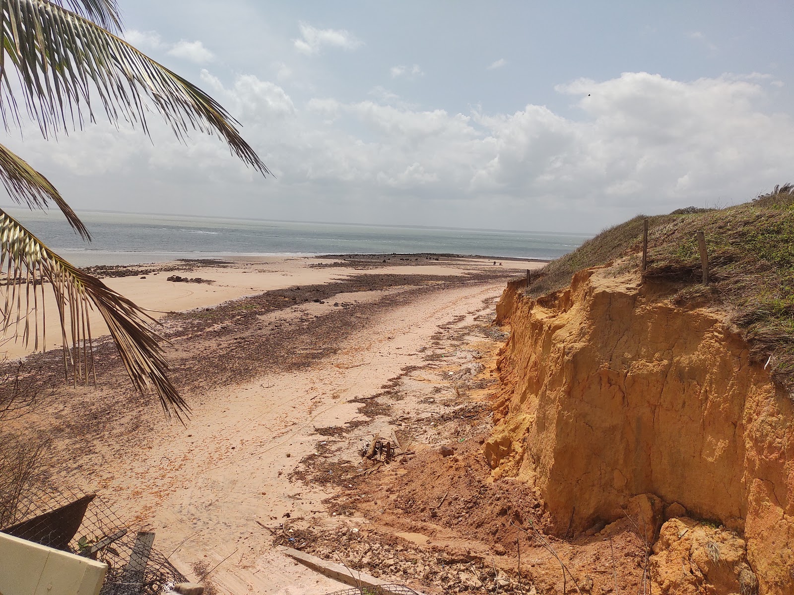 Foto von Praia de Ponta Verde - beliebter Ort unter Entspannungskennern