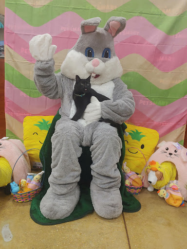 Pet Supply Store «PetSmart», reviews and photos, 1800 Evans Rd, Melbourne, FL 32904, USA