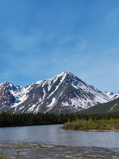 National Park «Denali National Park and Preserve», reviews and photos