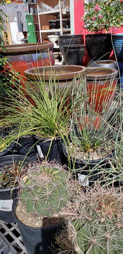 Hardware Store «Ace Hardware», reviews and photos, 21542 N John Wayne Pkwy, Maricopa, AZ 85139, USA