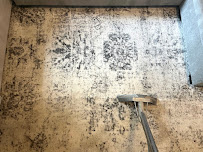 Baar Floor Care - Photo 9 - Car repair in Dallas, TX, Dallas