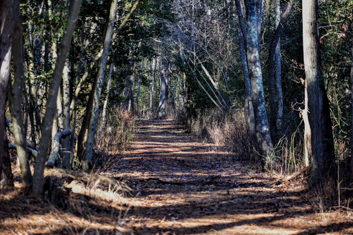 Nature Preserve «Edwin B. Forsythe National Wildlife Refuge- deCamp Wildlife Trail», reviews and photos, 365 Mantoloking Rd, Brick, NJ 08723, USA