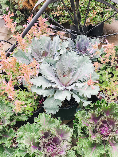 Hardware Store «Economy Supply of Lebanon», reviews and photos, 1055 Tangent St, Lebanon, OR 97355, USA