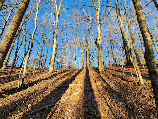 TVA Hickory Bend trailhead