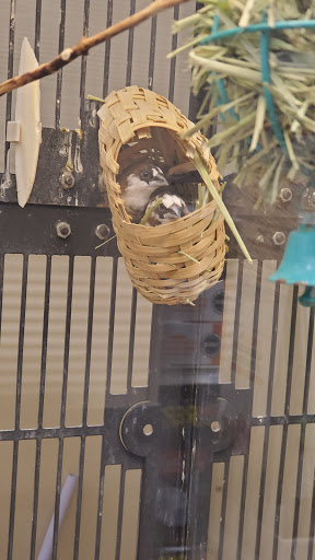 Pet Supply Store «PetSmart», reviews and photos, 637 Woodbury Glassboro Rd, Sewell, NJ 08080, USA