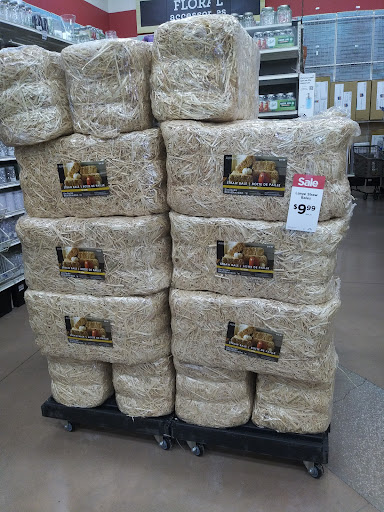 Craft Store «Michaels», reviews and photos, 630 US-441, Lady Lake, FL 32159, USA