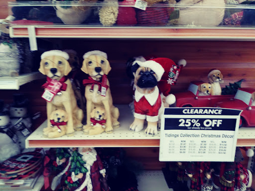 Discount Store «Big Lots», reviews and photos, 1030 Main St, Layton, UT 84041, USA